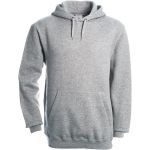 Mikina pánská s kapucí Hooded heather grey