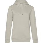 Mikina dámská s kapucí Queen Hooded grey fog